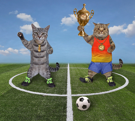 Two cats with a gold cup are in the soccer field.