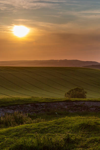 istock Looking out over the South Downs at sunset 1495445816