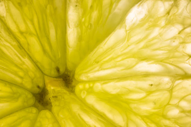 A captivating macro shot showcasing a translucent lime slice, beautifully illuminated from beneath, revealing its vibrant hues and intricate details.