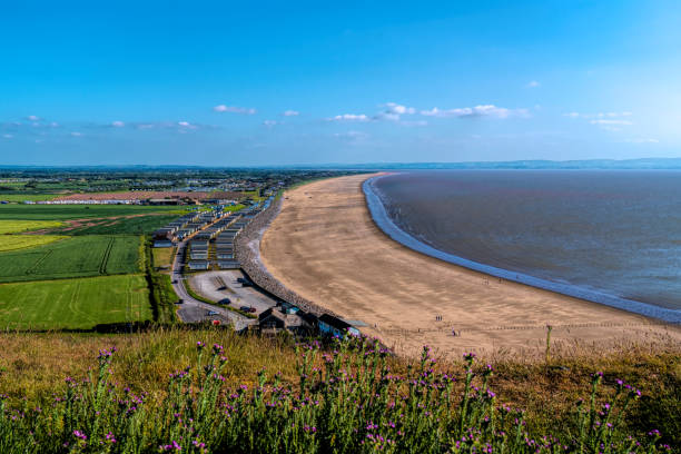 istock Brean beach Somerset with pink flowers England UK 1495448914