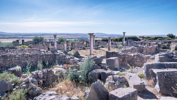 istock Archeological site of Volubilis, Morocco 1495451507