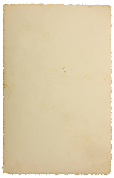 istock Old aged vintage edge photo in sepia tan, isolated blank empty vertical reverse side copy space taupe background texture, large detailed textured photograph macro closeup 1495454467