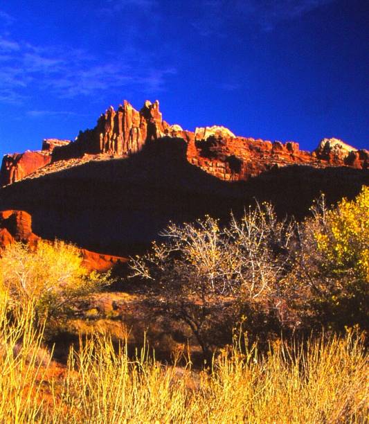istock The Castle/Capitol Reef Nat'l Park/Fruita, UT 1495456165