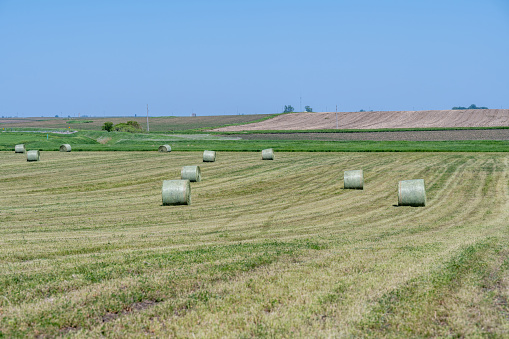 straw bales on a stubble field in rural Switzerland