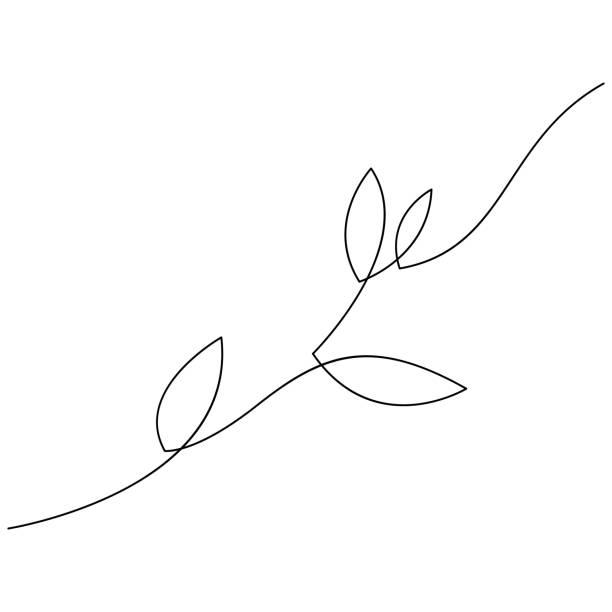 ilustrações, clipart, desenhos animados e ícones de desenho de linhas contínuas de folhas botânicas. planta abstrata arte mínima de uma linha. - tratamento botânico de balneário