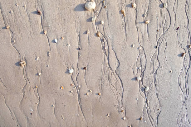 Beautiful Wavy Sand texture beach for background, Top view. for summer designs, copy past. Nature background concept