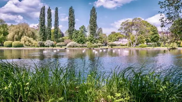 Photo of Gardens of the Château de Chantilly