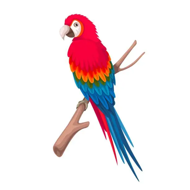 Vector illustration of Parrot Macaw on Tree Branch