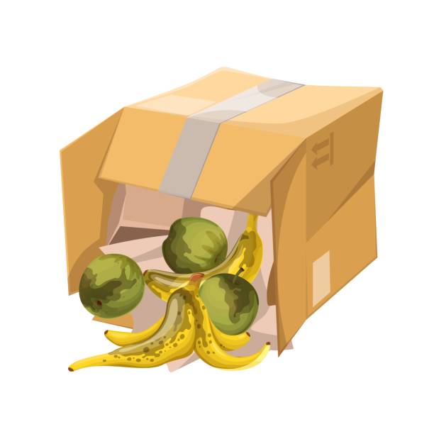 Squashed Carton Box 10+ Squashed Banana Illustrations, Royalty-Free Vector Graphics & Clip ...