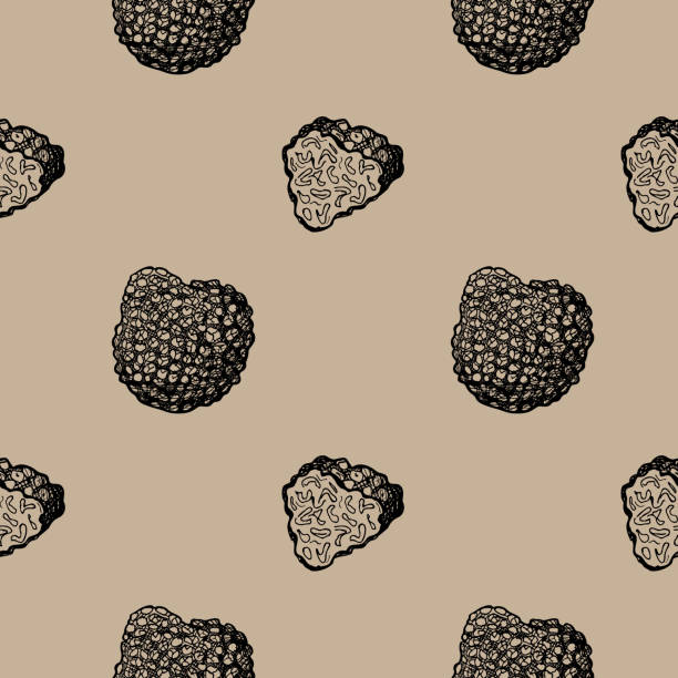 Truffle Background 1,300+ Truffle Background Stock Illustrations, Royalty-Free Vector ...
