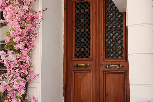 Colorful door and flowers in istanbul