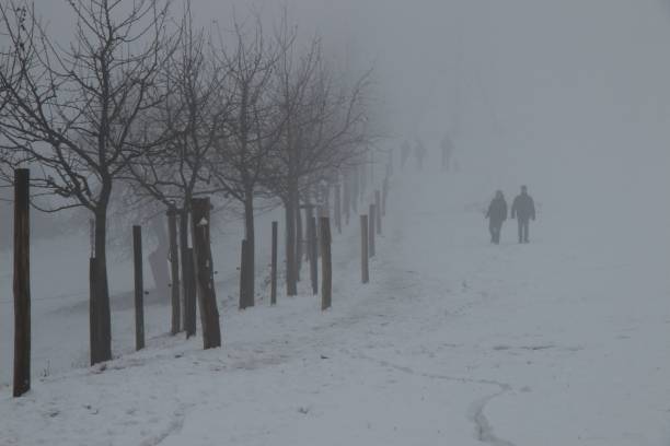 The people walking through a snow covered field with bare trees on a misty day