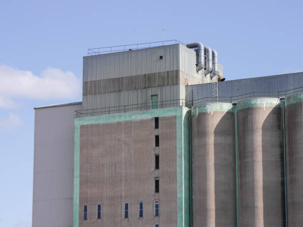 istock Low angle view of a old abandoned industry building 1495489403