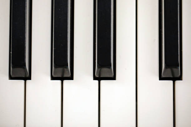 istock Musical Instrument, Piano, Musician 1495501931