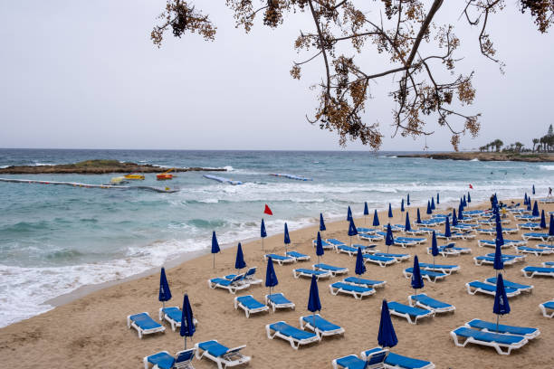 tropischer ferienort zum schwimmen. feigenbaum bucht strand zypern, stürmischer tag - sea fig stock-fotos und bilder