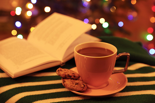 Cup of delicious hot cocoa, cookies and book on colorful cloth. Space for text