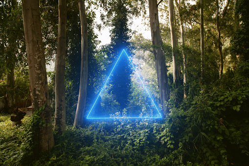 stunning triangle neon shape in the jungle