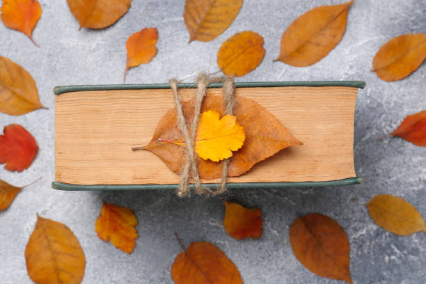 istock Book decorated with autumn leaves on light gray table, top view 1495508735