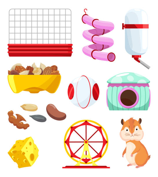 Hamster habitat accessories. Tunnel, exercise wheel, water bottle, food dish, transparent ball. Element of habitat for adorable fat animal. Isolated on white background Hamster habitat accessories. Tunnel, exercise wheel, water bottle, food dish, transparent ball. Element of habitat for adorable fat animal. Isolated on white background. rat cage stock illustrations