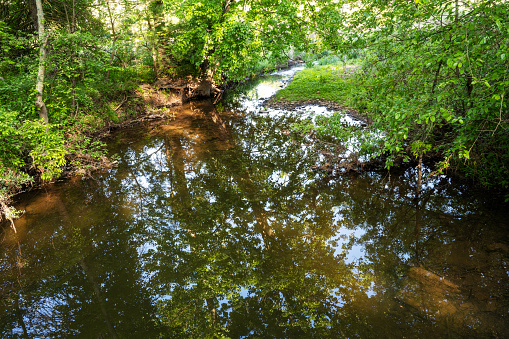 Mountain stream in rural New York State on an overcast rainy day.