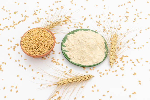 istock Wheat flour and wheat ears with grain isolated on white background 1495516717