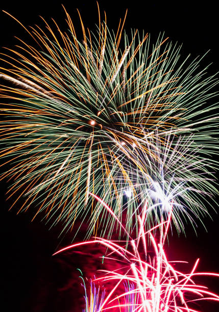 istock Beautiful fireworks blooming in the summer night sky 1495519307