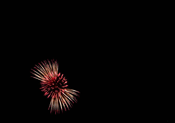 Beautiful fireworks blooming in the summer night sky