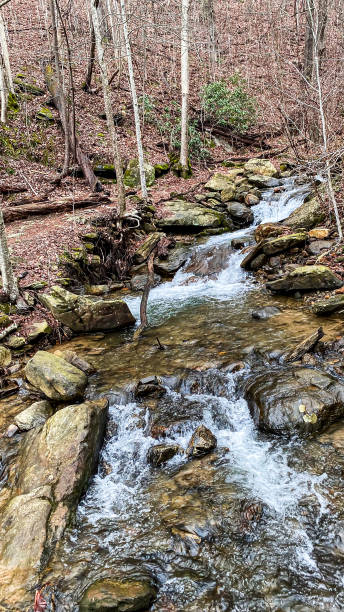 istock Amicalola Falls - Dawsonville, Georgia 1495519663