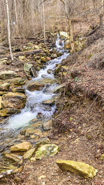 istock Amicalola Falls - Dawsonville, Georgia 1495519675