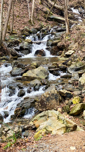 istock Amicalola Falls - Dawsonville, Georgia 1495519683