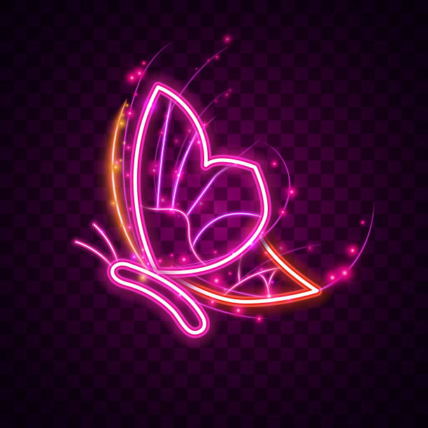 istock butterfly, neon, light, glow, glowing, sign, vector, background, purple, pink, 1495521550