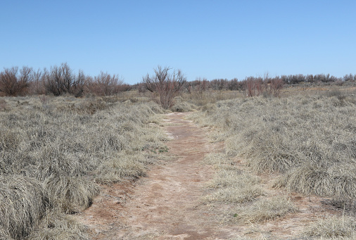 Trail through a grassland at Bitter Lake National Wildlife, New Mexico