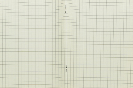 top view image of open planner notebook with blank page, lined paper texture background