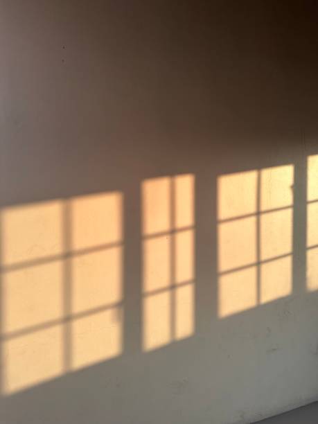 istock lovely window shade from the sun 1495529019
