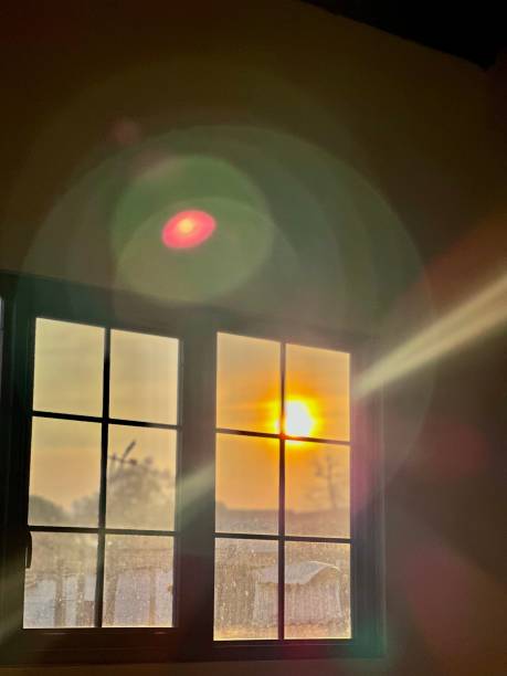 istock Peek at the sun in the window 1495529126
