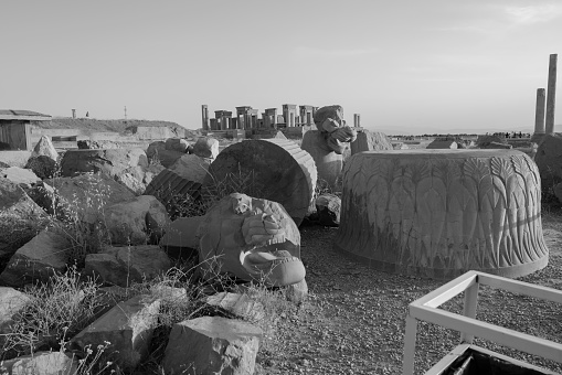 The Persepolis black and white, Shiraz, Iran