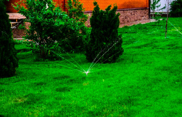 istock Sammer in the garden. Automatic watering watering green lawn 1495542118