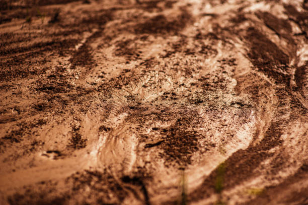 istock grunge, detailed close-up wet clay texture. Wet mud with drips from rain, sunlight. The surface of Mars 1495543267