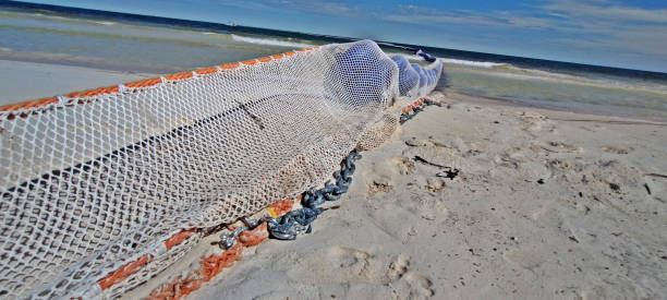 istock Anti-sargassum barriers anchored on the beach 1495543864