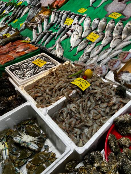 istock Fish market in Istanbul 1495544414