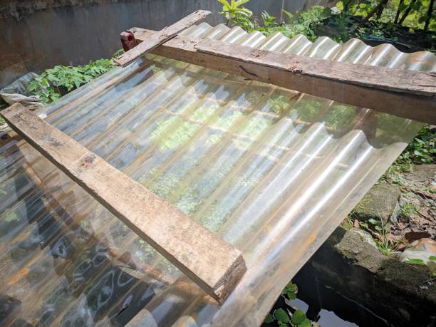 istock plastic roof ceiling to protect plants from the stinging sun 1495547809