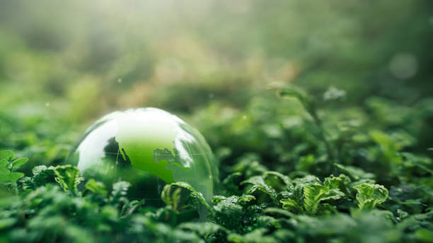 istock net zero Carbon neutral concepts for net zero emissions, environmental, social and governance goals. Long-term, climate-neutral strategy 1495551287