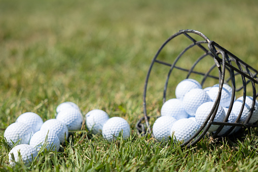 Golf ball on tee and golf balls in basket on green grass for practice. Sports equipment
