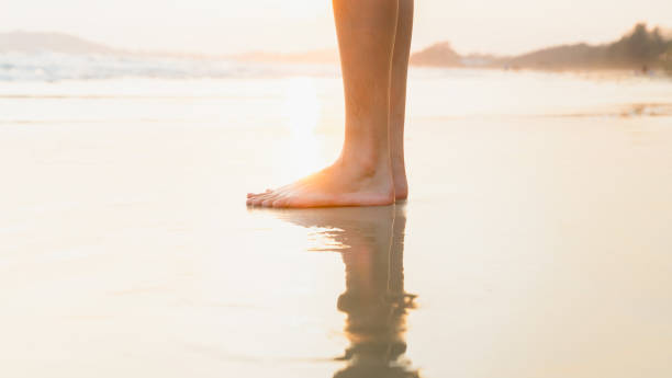 istock Woman's legs stand on the beach at sunset time. 1495554079