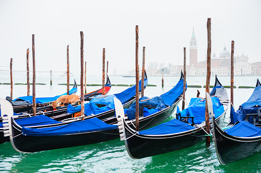 Gondolas on the Grand canal at foggy sunrise in Venice, Italy. San Giorgio Maggiore Cathedral in the background. Famous travel destination.
