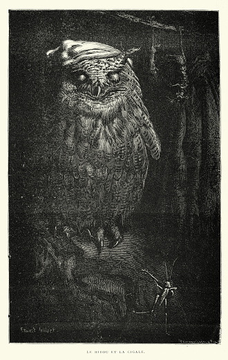Vintage illustration of The Grasshopper and The Owl, Le Hibou et la Cigale, Fables of Aesop, 19th Century. By François Pannemaker, Moral of the story Don’t be unreasonable against greater force.