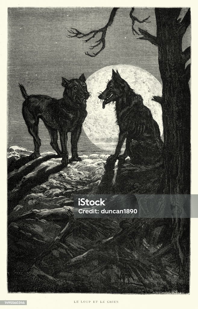 The Dog and the Wolf, Le Loup et le Chien, Fables of Aesop, Moral, Freedom is sweet, 19th Century Vintage illustration of The Dog and the Wolf, Le Loup et le Chien, Fables of Aesop, 19th Century. By François Pannemaker, Moral of the story how freedom should not be exchanged for comfort or financial gain Wolf stock illustration