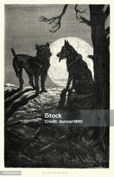 The Dog And The Wolf Le Loup Et Le Chien Fables Of Aesop Moral Freedom Is Sweet 19th Century Stock Illustration - Download Image Now