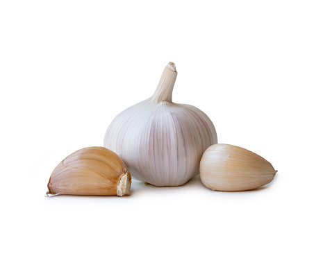 Single fresh white garlic bulb with segments is isolated on white background with clipping path, Thai herb is great for healing several severe diseases, heart attack, Hyperlipidemia or Dyslipidemia, close up photo