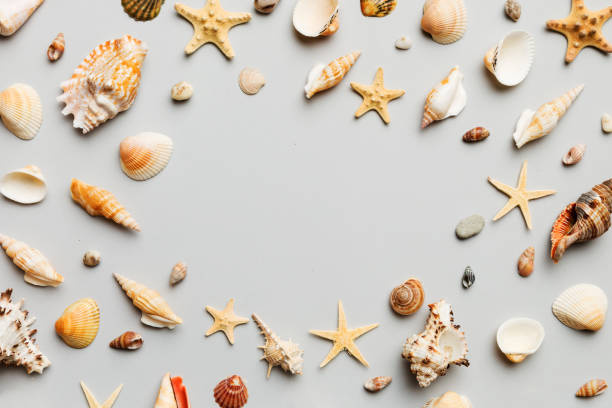 istock Summer time concept Flat lay composition with beautiful starfish and sea shells on colored table, top view with copy space for text 1495565133